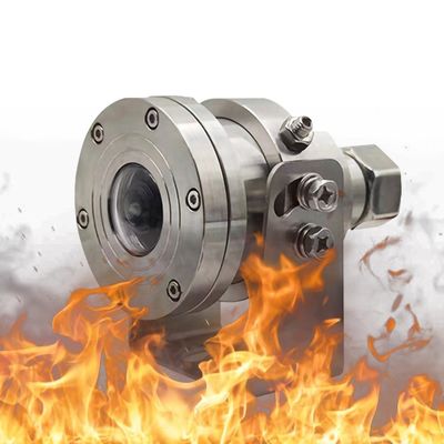 Caméra PTZ anti-explosion 4K CCTV en acier inoxydable pour camion intégré au MIC Starlight IR